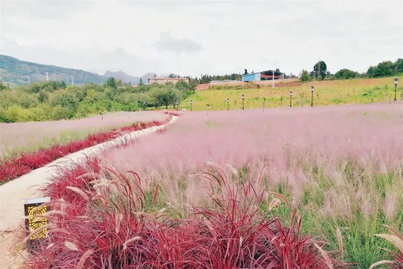 红河文旅(微信)