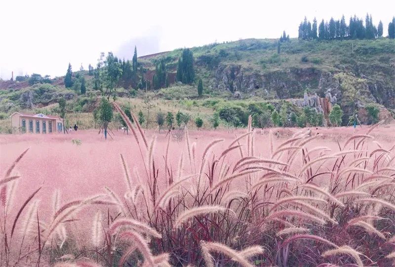 红河文旅(微信)