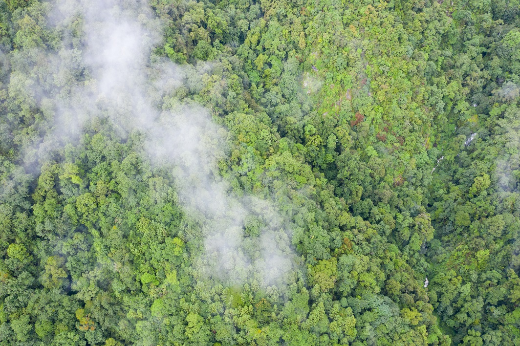 云南省人民政府网