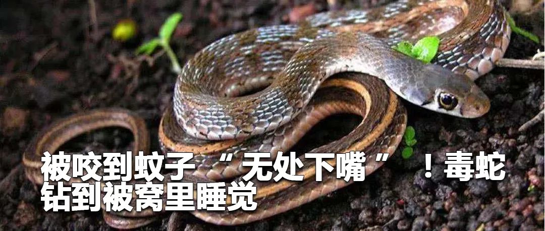 云南政法(微信)