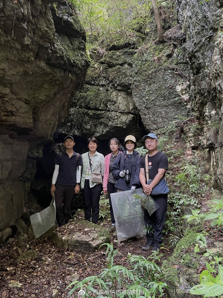 西双版纳热带植物园微博