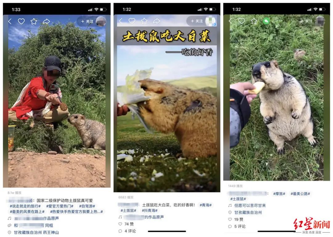 掌上春城(微信)