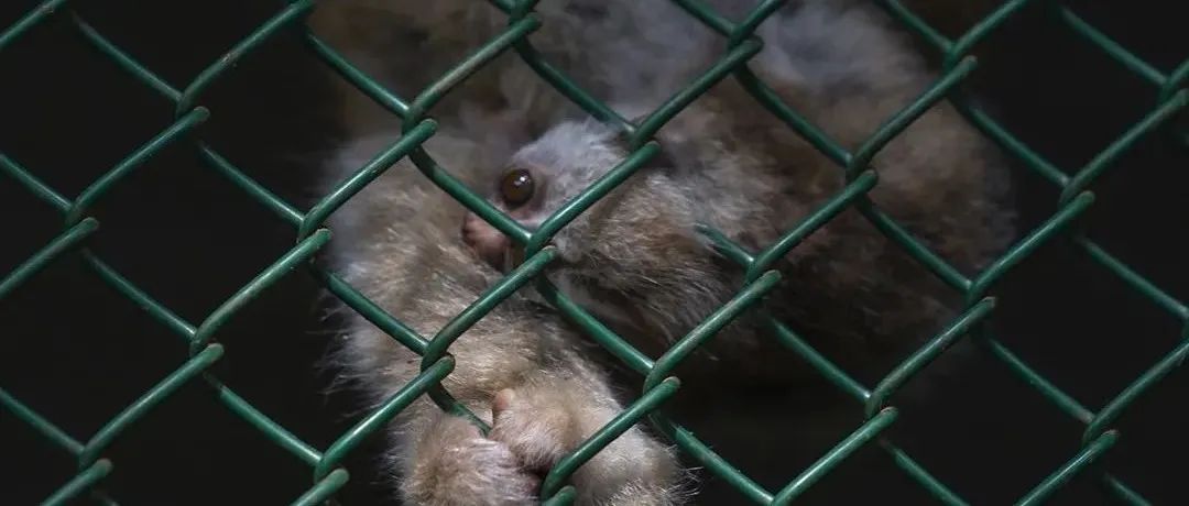 德宏团结报(微信)