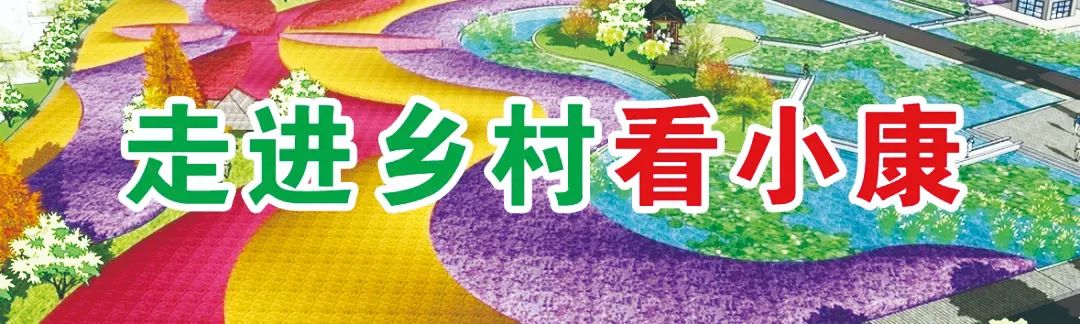 丽江日报(微信)