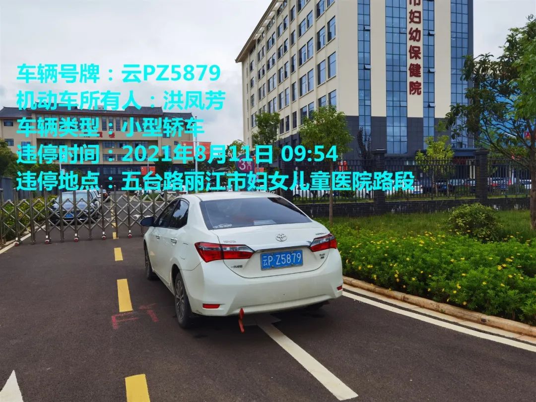 丽江日报(微信)