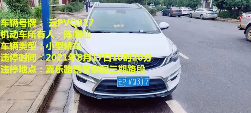 丽江日报(微信)