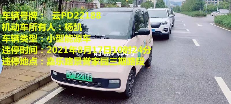 丽江日报(微信)