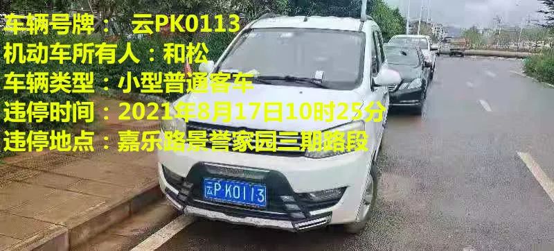 丽江日报(微信)