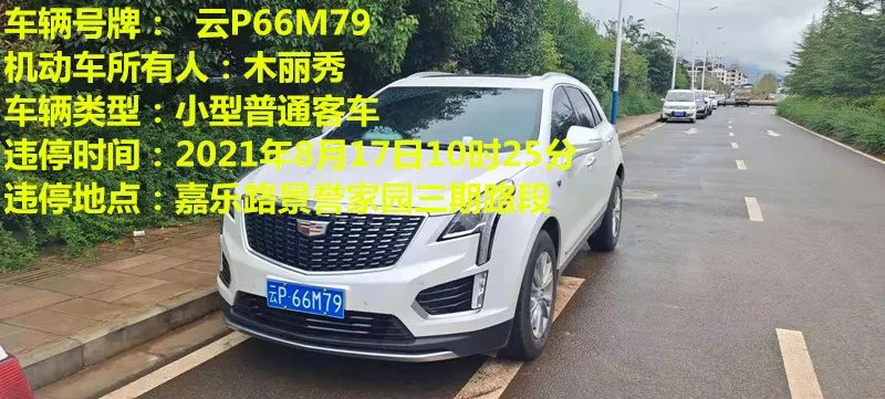 丽江日报(微信)