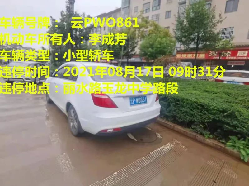 丽江日报(微信)