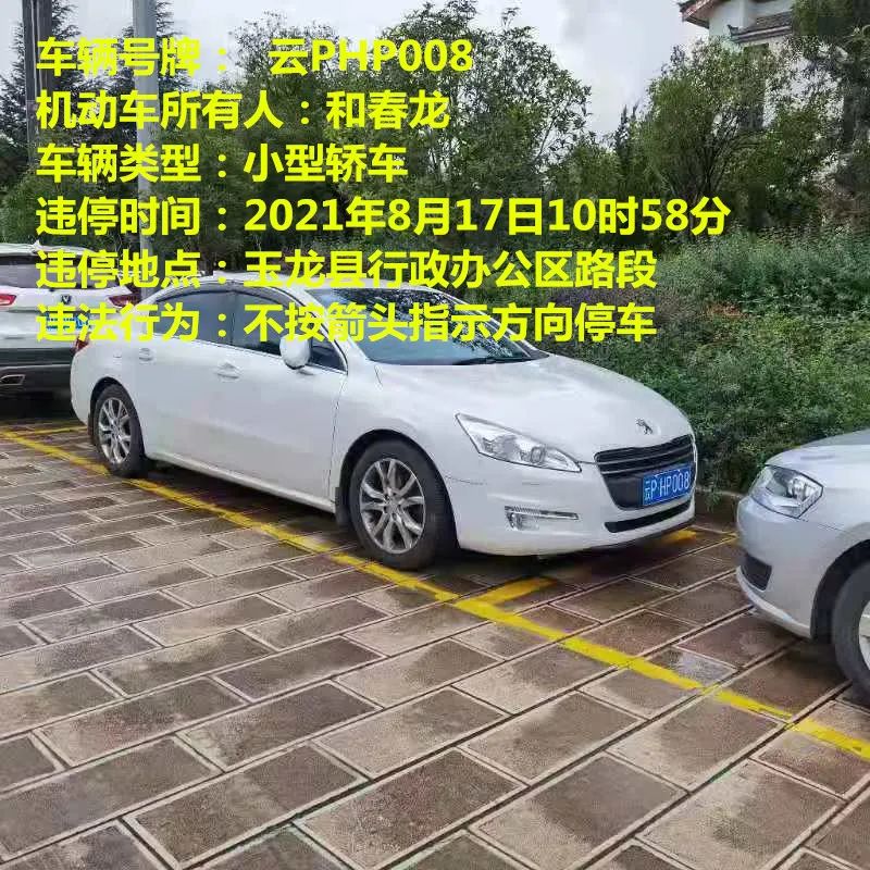 丽江日报(微信)