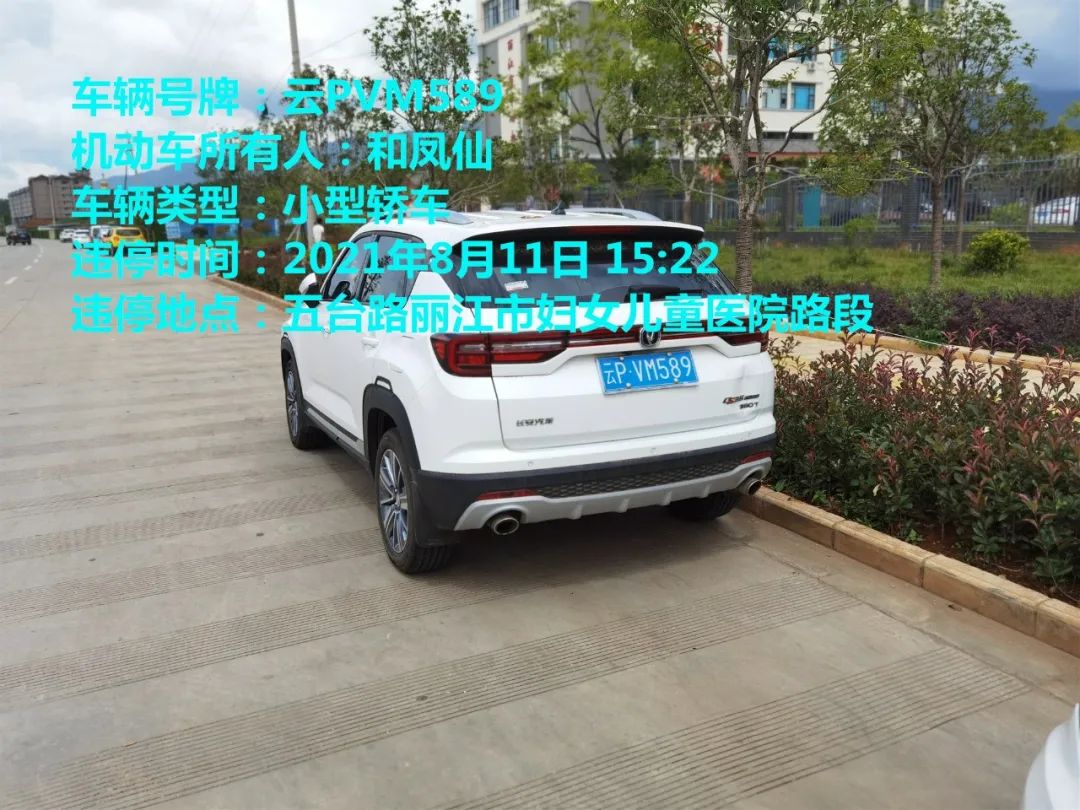 丽江日报(微信)