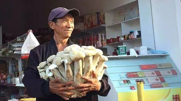 春城晚报(微信)