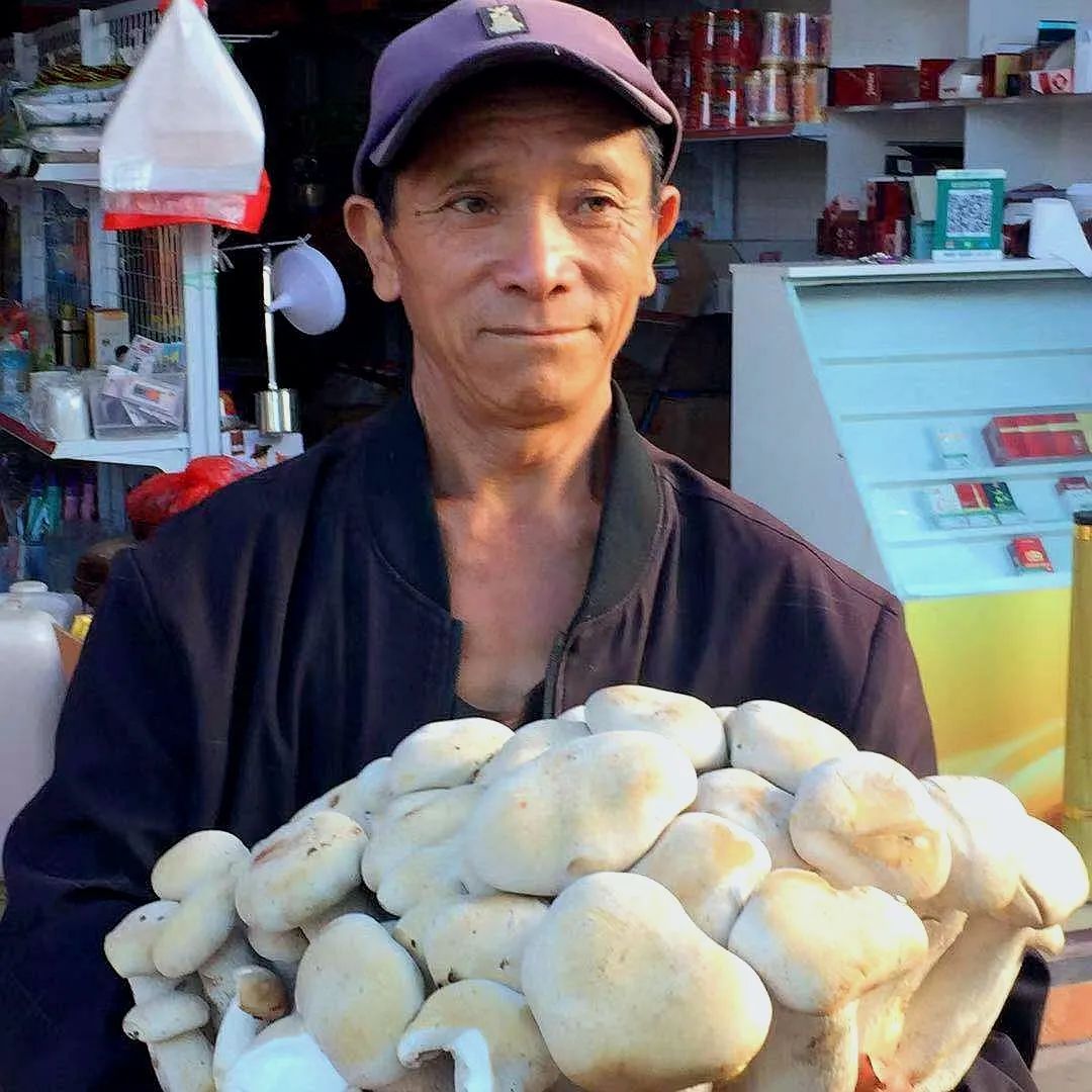 春城晚报(微信)