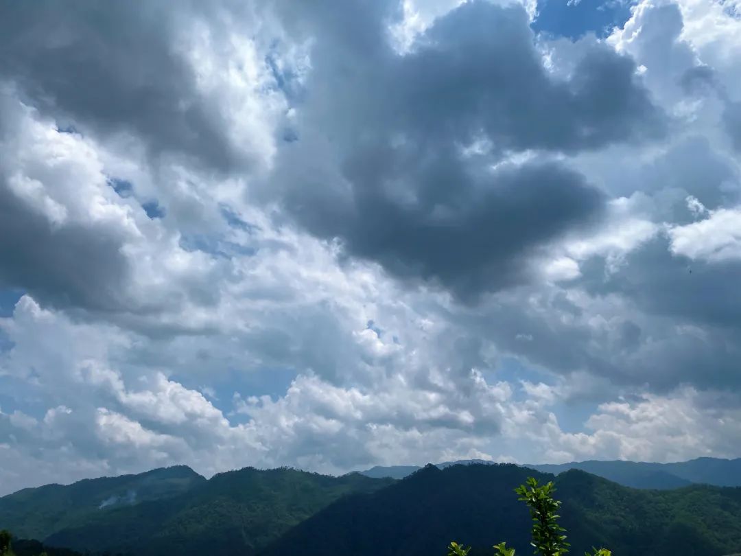 普洱日报(微信)