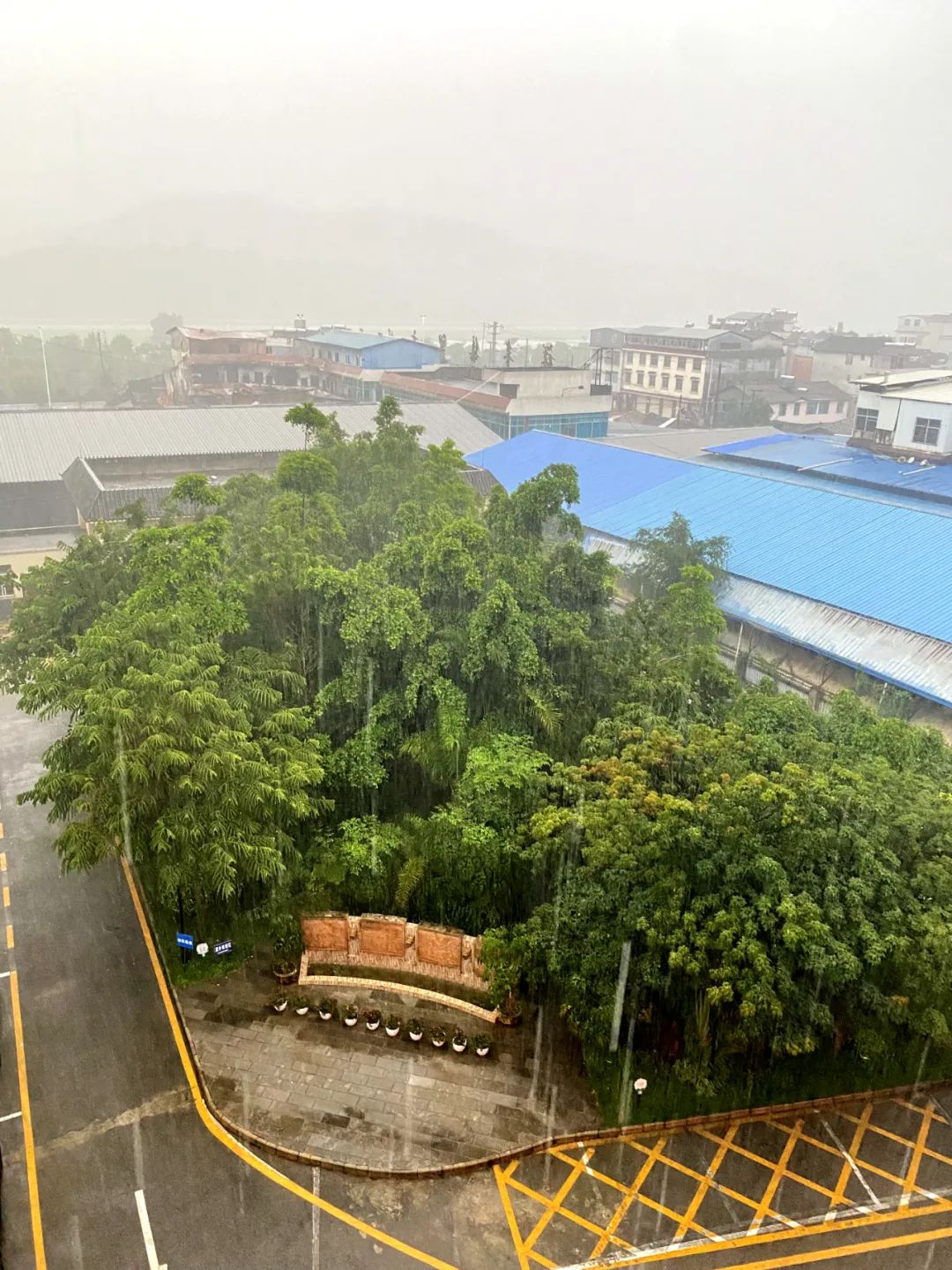 普洱日报(微信)