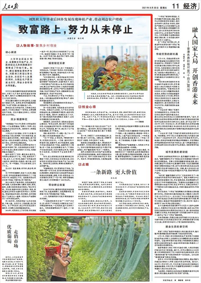 珠源先锋(微信)