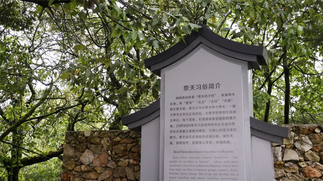 丽江日报(微信)