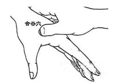 云南中医(微信)