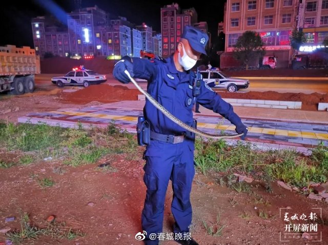 吓哭！曲靖女子开门通风爬进一条蛇