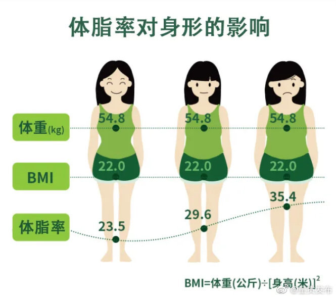 体脂率是最诚实的胖瘦标准，按公式自测一下吧