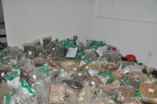 普洱日报(微信)