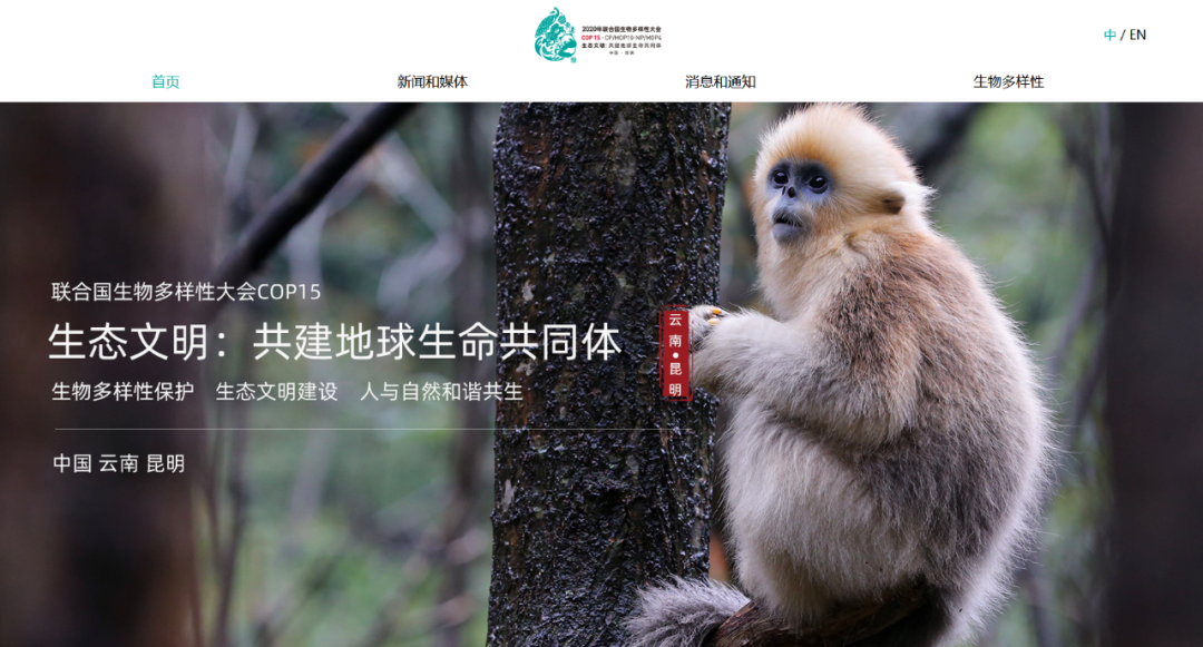 云南广播电视台(微信)