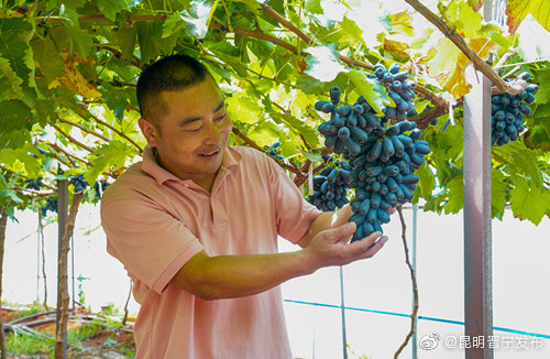 “昆明晋宁发布”微博