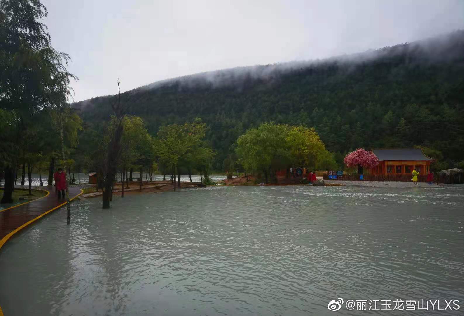 丽江玉龙雪山YLXS微博