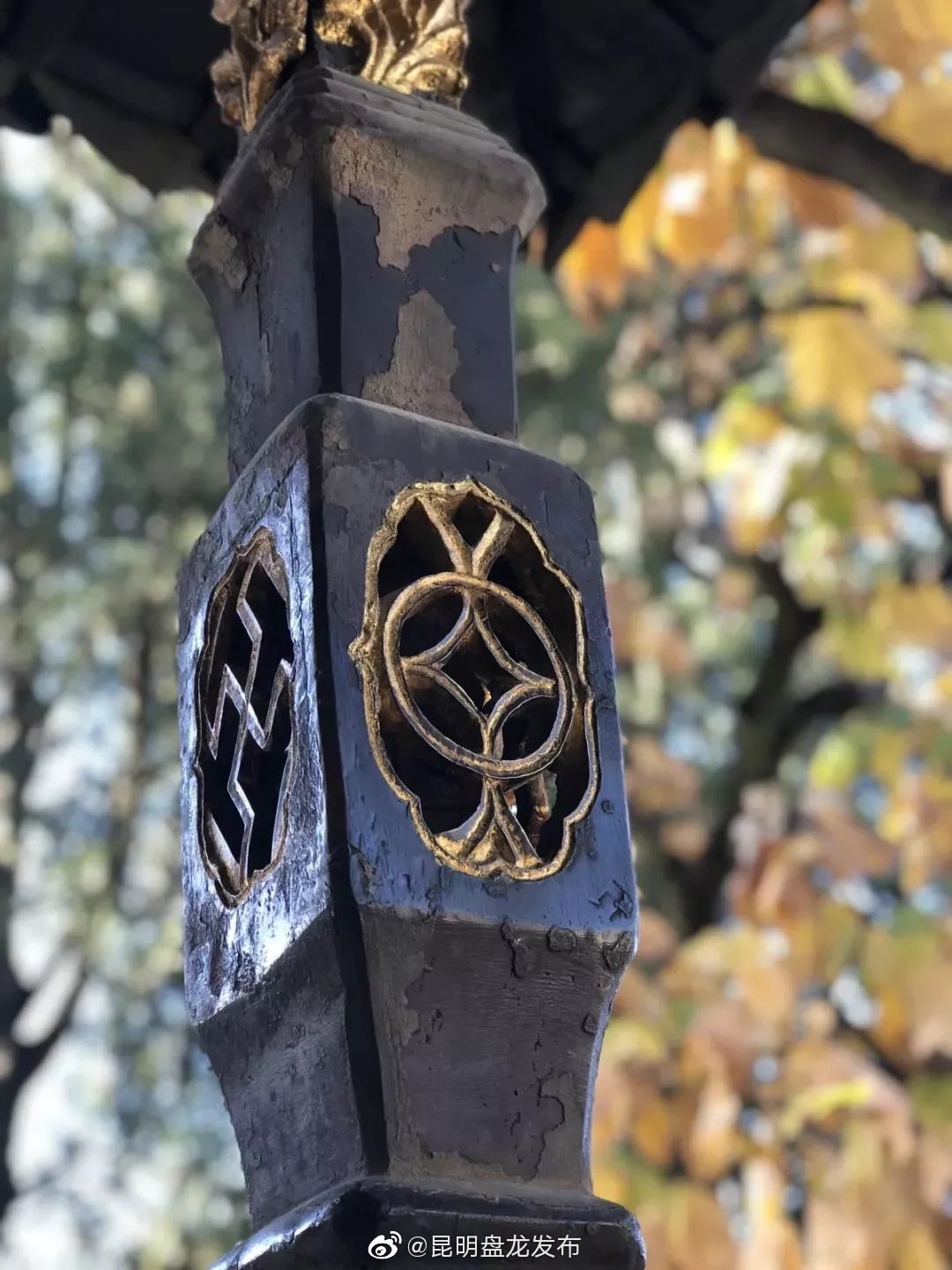 “昆明盘龙发布”微博