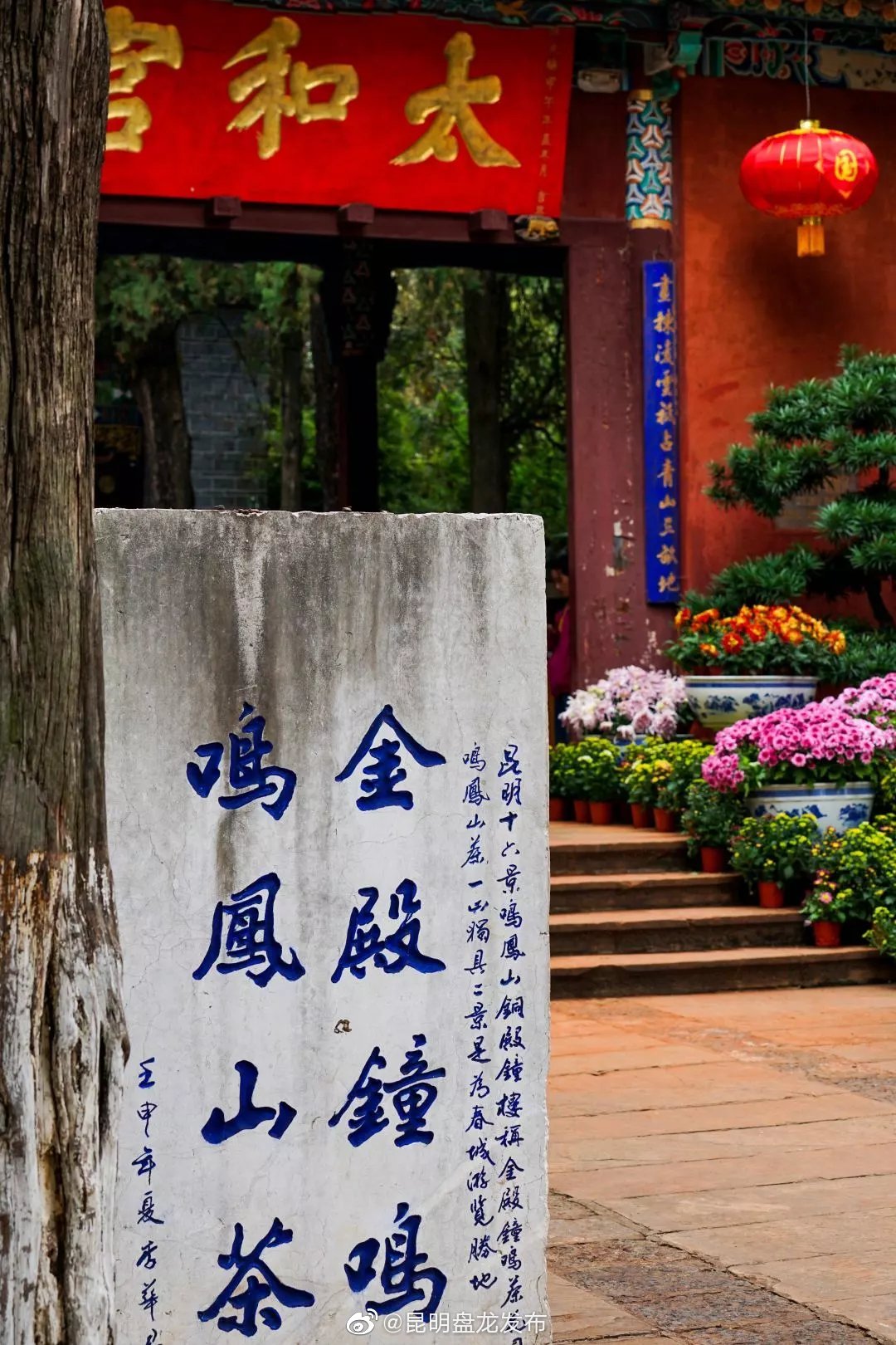 “昆明盘龙发布”微博