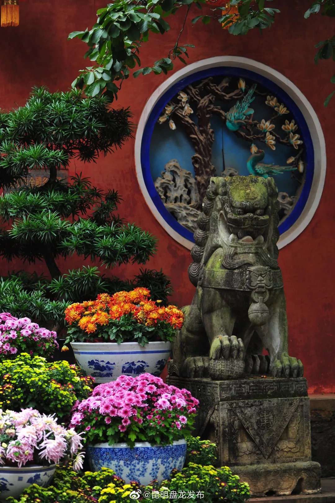 “昆明盘龙发布”微博