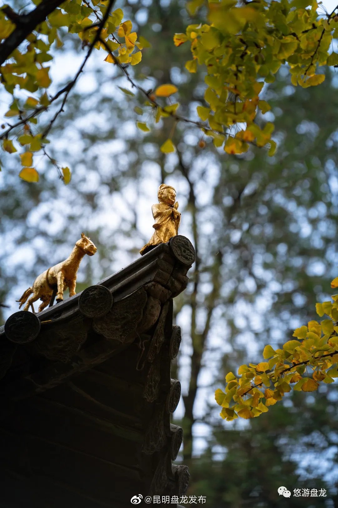 “昆明盘龙发布”微博