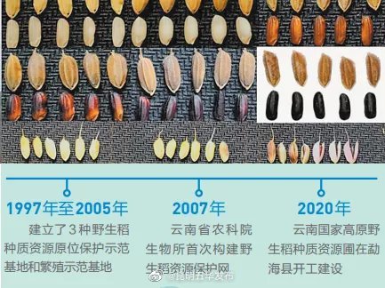 20余年倾力保护，只为它！