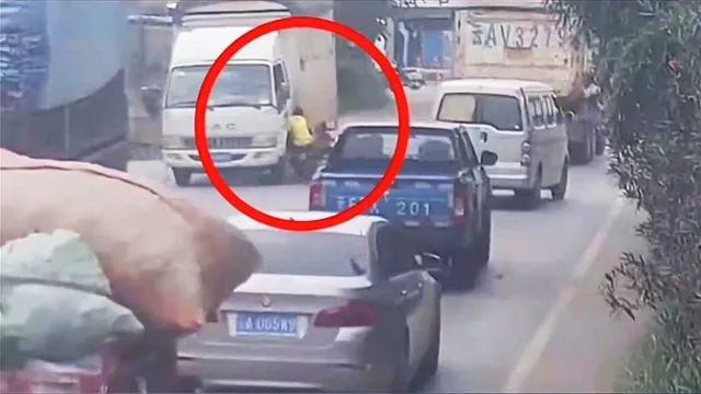 春城晚报(微信)