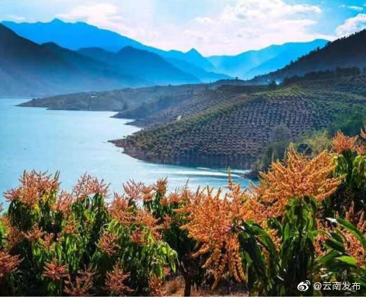 云南环境空气质量预报