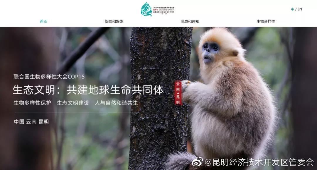 “昆明经济技术开发区管委会”微博