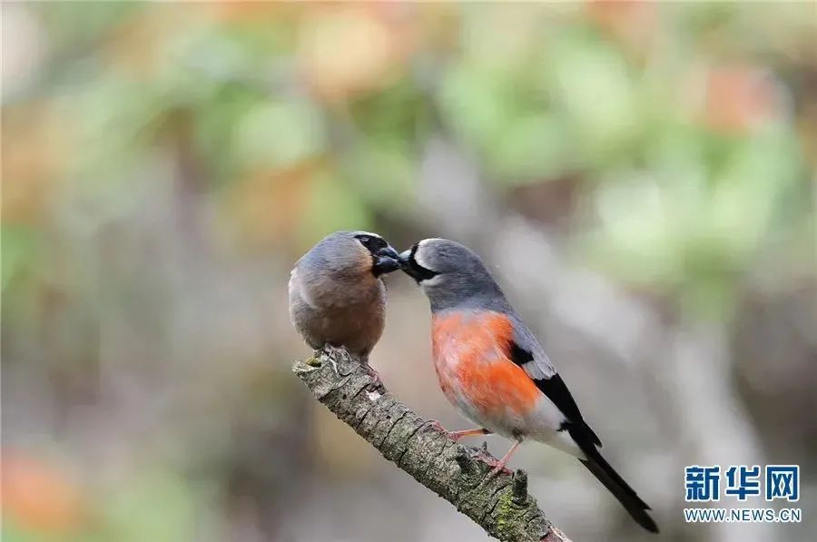 云南广播电视台(微信)