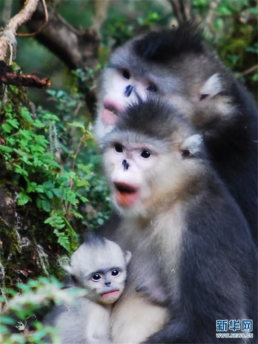 云南广播电视台(微信)