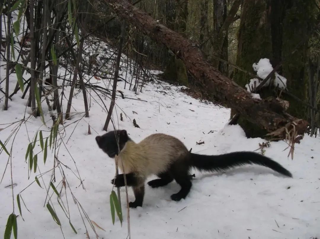 云南广播电视台(微信)