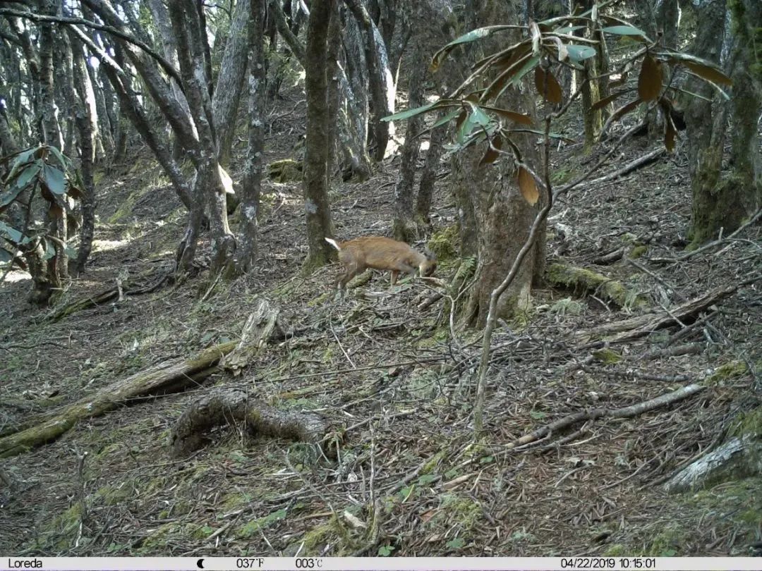 云南广播电视台(微信)