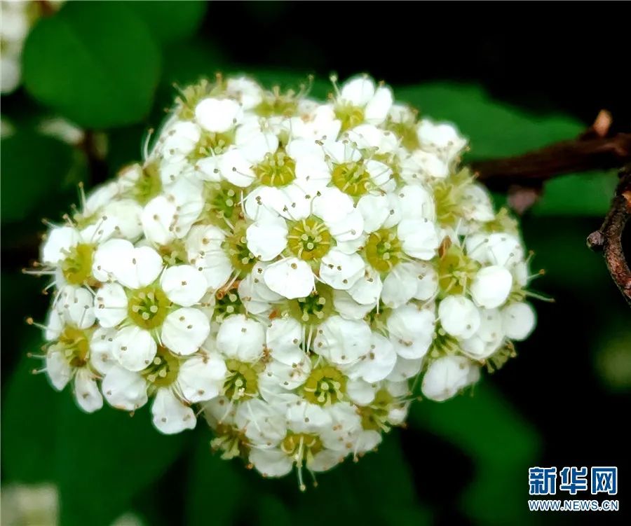 云南广播电视台(微信)