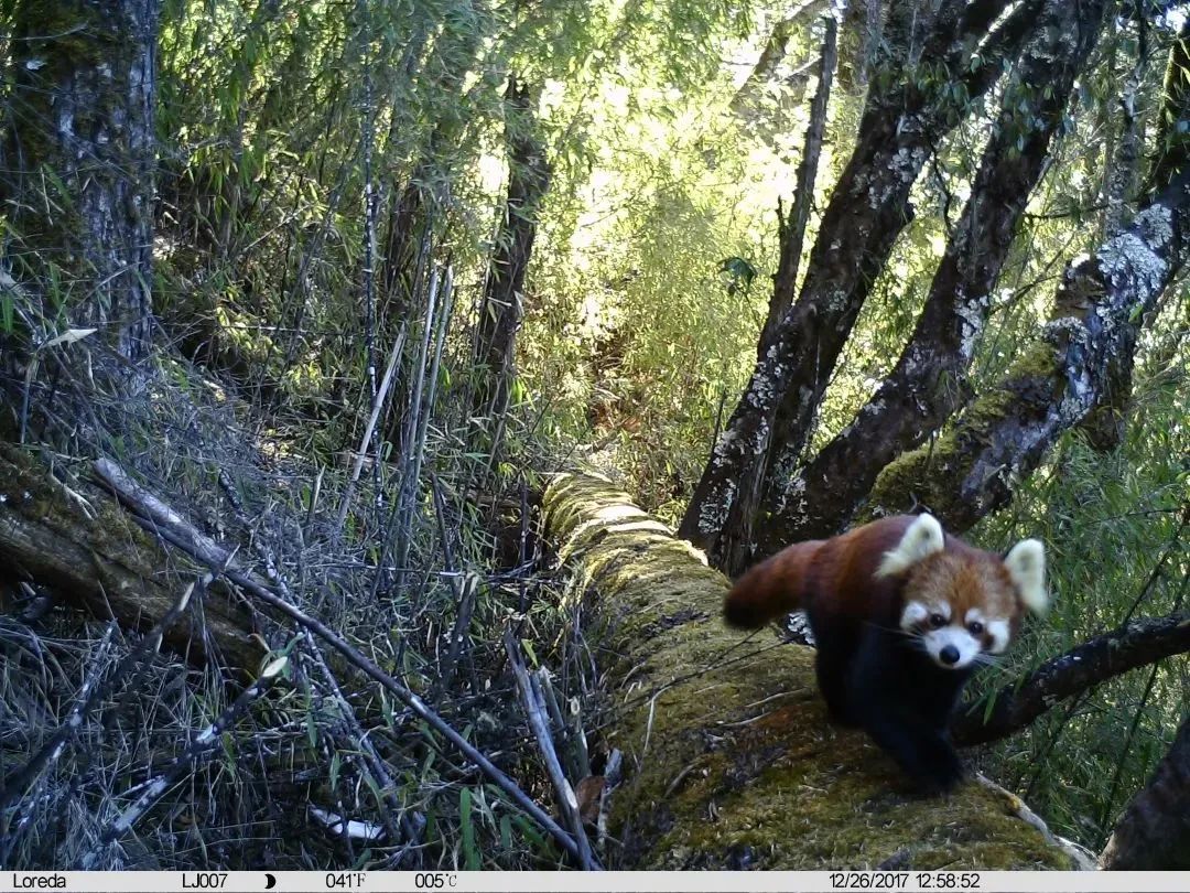 云南广播电视台(微信)