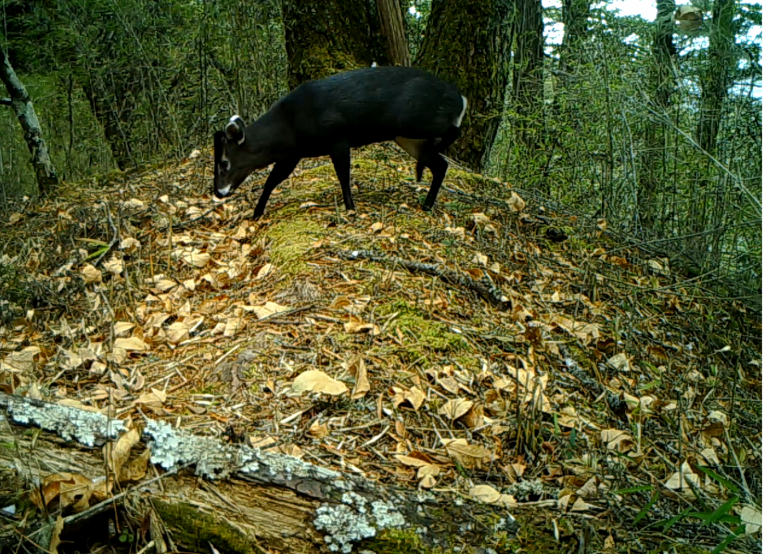 云南广播电视台(微信)