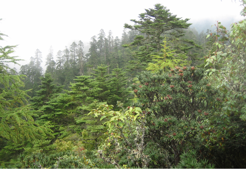 云南广播电视台(微信)