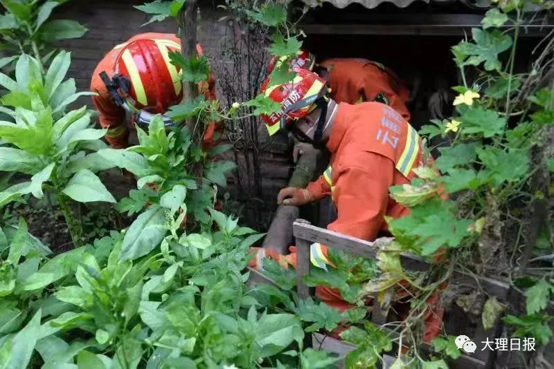 大理日报(微信)