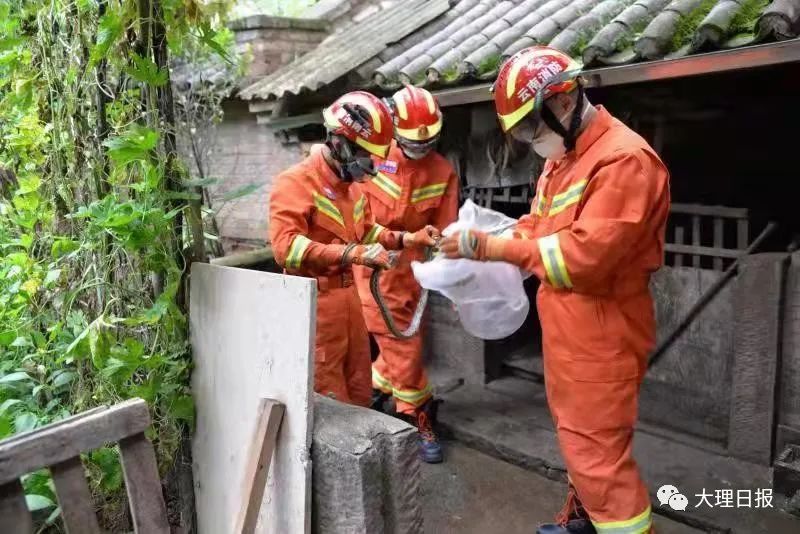 大理日报(微信)