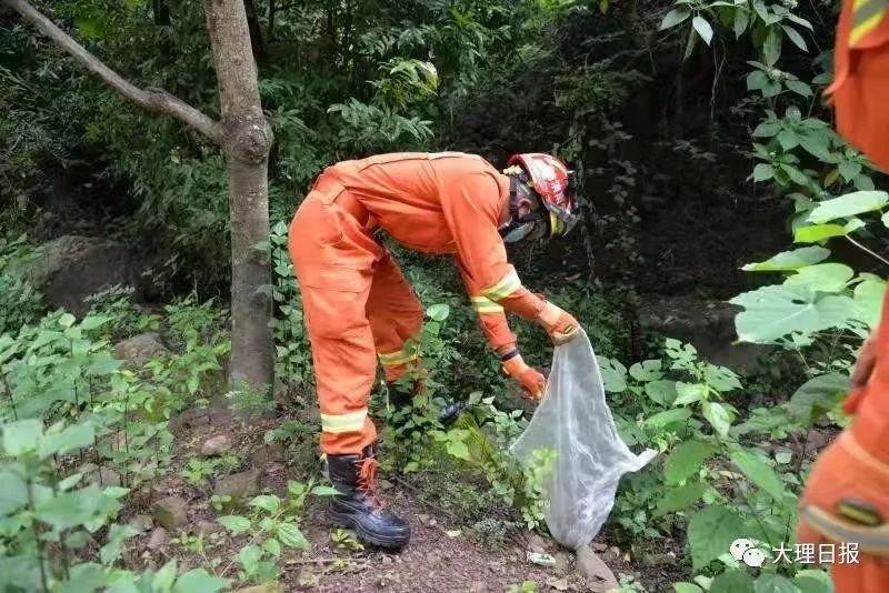 大理日报(微信)