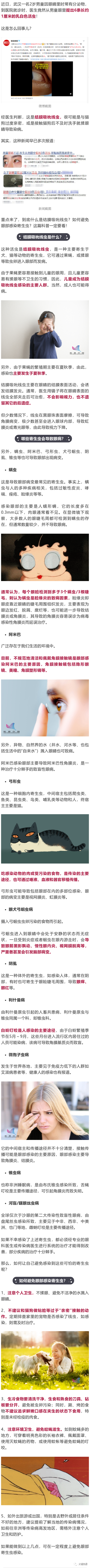 大理日报(微信)