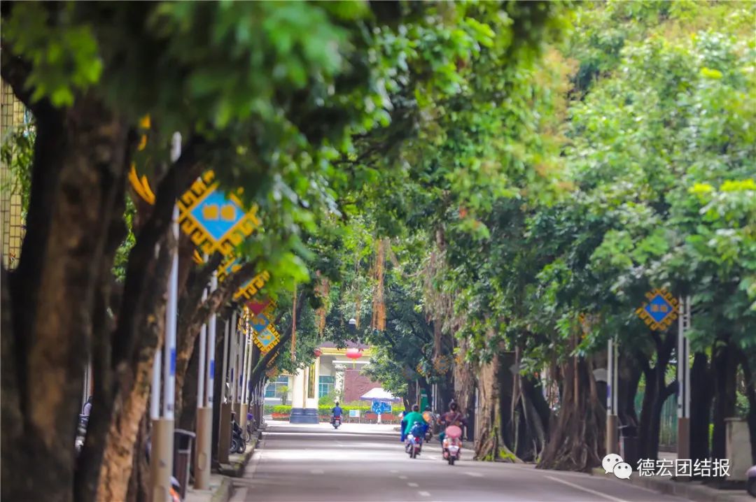 德宏团结报(微信)